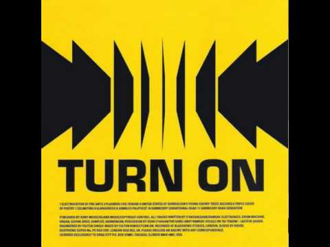 Turn On — Turn On - Electrocation of Fire Ants
