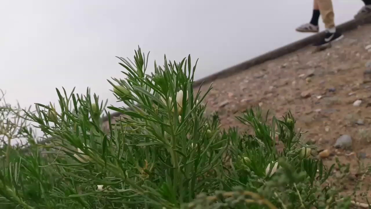 No Graviti and Team Extpee (Встреча)