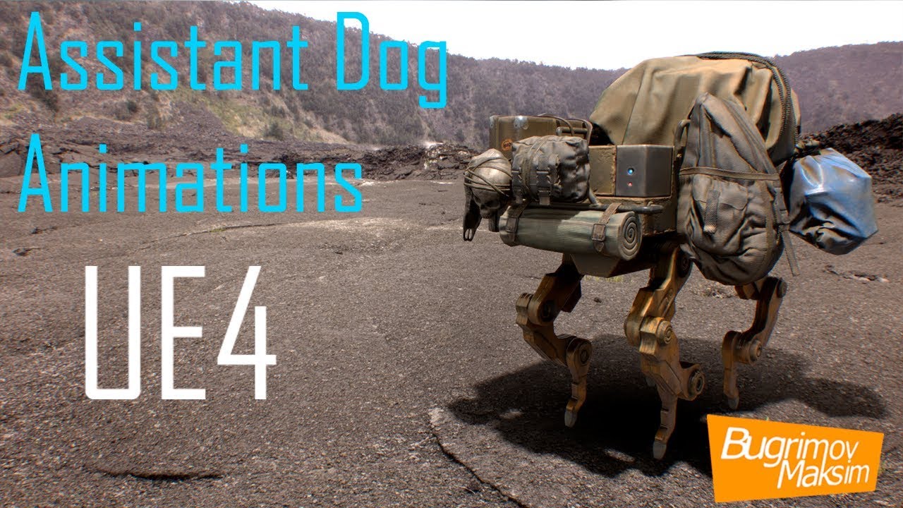 Assistant Dog Animations UE4
