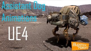 Assistant Dog Animations UE4