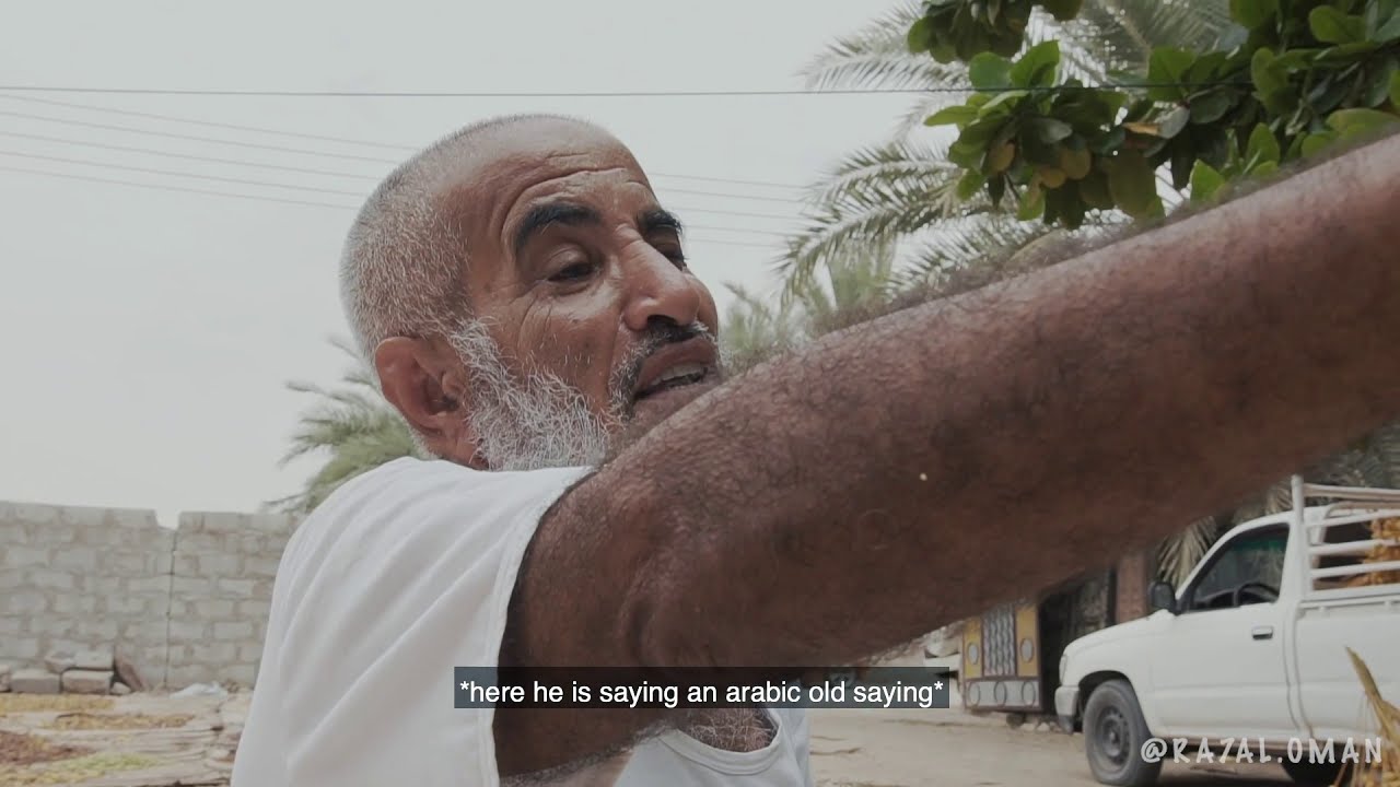 al faghoor season - Oman (Jalan bani bo Hasan) موسم الفاغور في جعلان بني بوحسن - سلطنة عمان