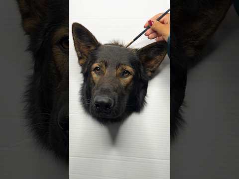 How to paint a realistic dog