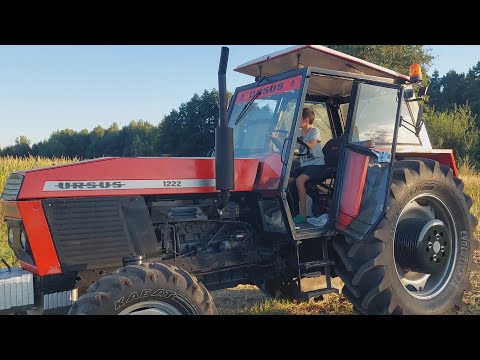 Ryk Bizona W Ursusie 1222