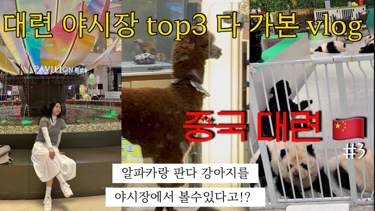 CN;EN;중국대련여행vlog/야시장투어/파빌리온/밀크티맛집찾아다니기/후기/맛집추천