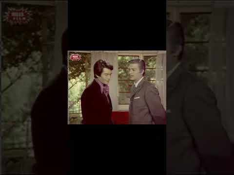 video kapak görseli