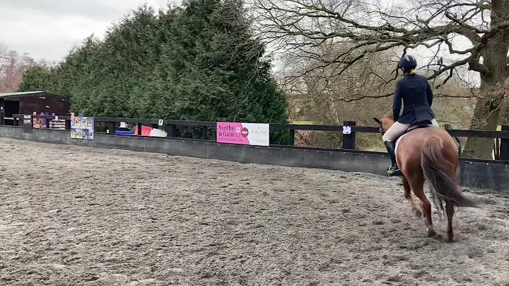 Debby Booth & Hurtstock over the moon (Ollie); Els...