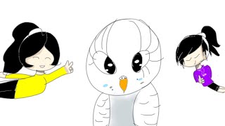 Wholesome parrots dancing