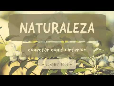 Video: Conexión Con La Naturaleza