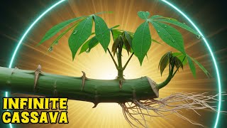 Multiply Your Food Forest: Propagating Cassava Using Cane Cuttings