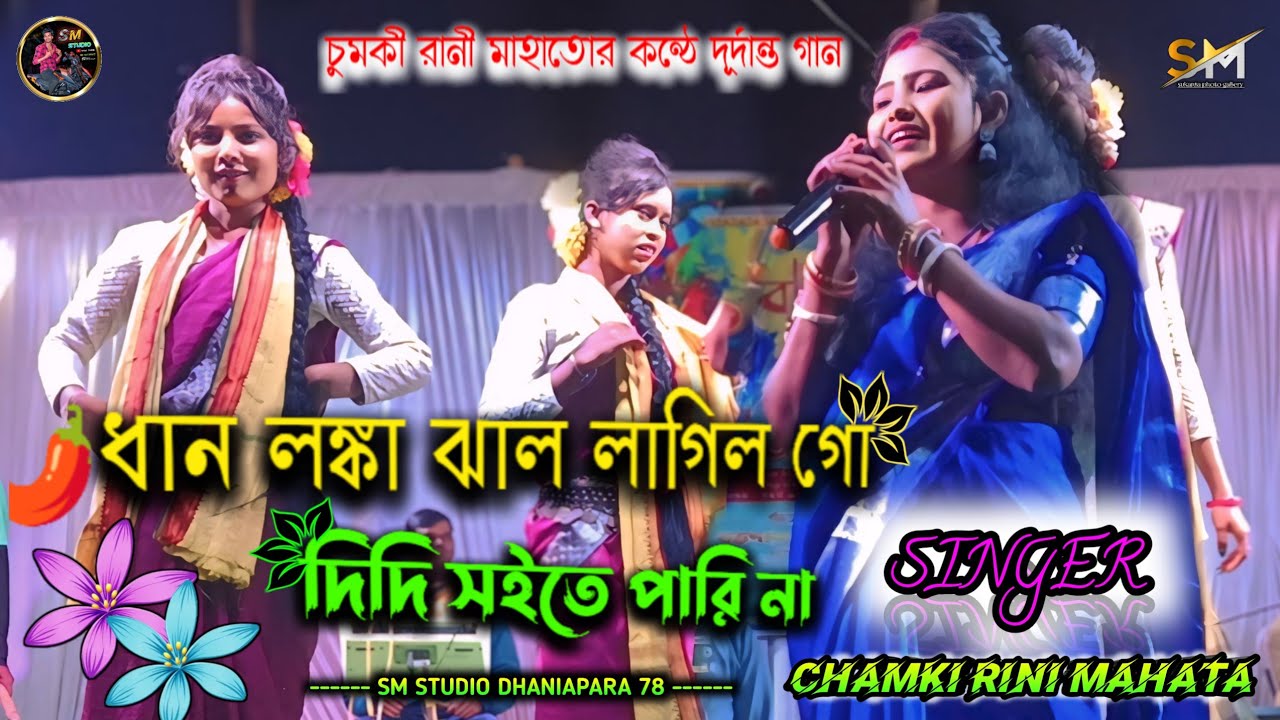 নুতন একটি ভাইর গান ধান লঙ্কার ঝাল লাগিলো গো দিদি      Dhan Lankar Jhal Lagilo || chamki Rani mahata 
