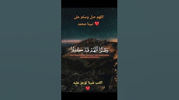 ارح قلبك قليلا ❤️‍🩹 #قرآن_كريم #اكسبلور #المصحف #quran #احمد_النفيس #راحة_نفسية #تلاوة_خاشعة