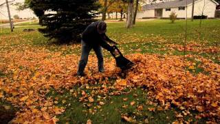 GardenersEdge.com and the LC101 leaf claws