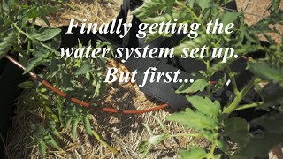How I saved hours of watering with this game-changing garden hack