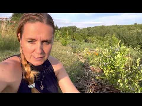 Video: Záhradná sebestačnosť: Vypestujte si nezávislú záhradu