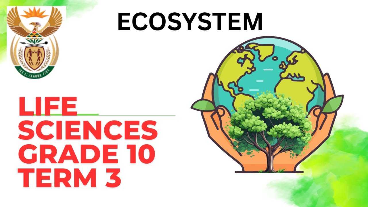Life Sciences Grade 10 Ecosystems Term 3 - YouTube