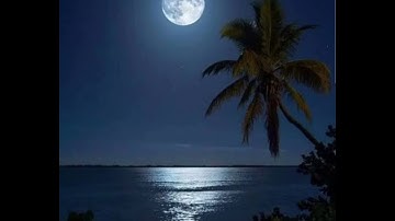 صلاة العشاء يوم الجمعة 27 جوان2025 ؛ ماتيسر من سورة ق ؛ القارئ عبد النور رحيم