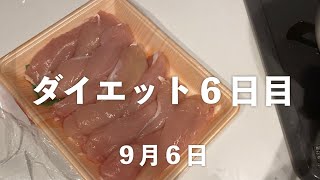 【6日目】ささみと負荷【ダイエット/vlog】