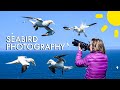 Making The Time To Photograph What You Love | Photographing Seabirds in Scotland