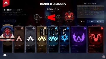 All of us become rookie ?