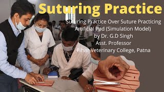 Suturing Practice Over Suture Practicing Artificial Pad (Simulation Model) by Dr. G.D Singh, BVC by Bihar Animal Sciences University, Patna 2,767 views 2 years ago 3 minutes, 15 seconds