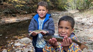 Trout Fishing, Hiking & Cavern Exploring Family Adventure in Virginia #trout #virginia #adventure