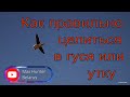 №118 Как целиться в летящего гуся и утку / Новые супервидео Shotkam / Охота на гуся 2022