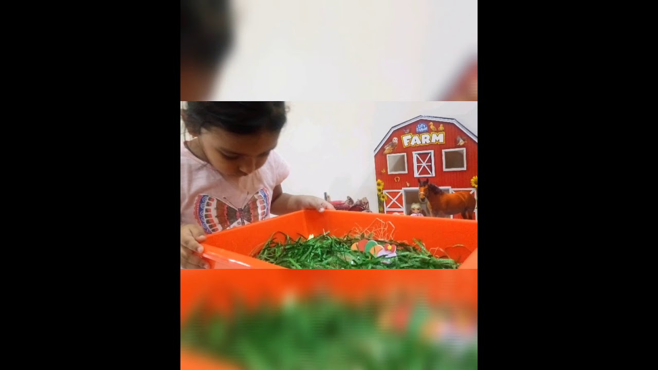 Sensory Bin Farm Theme & Counting