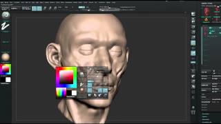 ZBrush tutorial: Sculpt a face using anatomical principles, Part 7