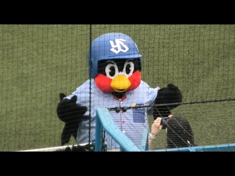 つば九郎、かりゆしウェアで神宮球場にinする