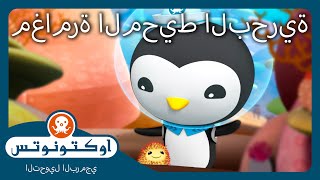أوكتونوتس | 🐚 مغامرة المحيط البحرية 🪸 | حلقات مجمعة