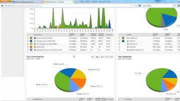 Troubleshoot Internet issues using NetFort DPI data in SolarWinds views