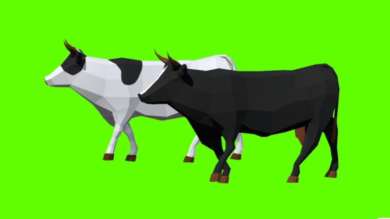 Cartoon Cows!! Walking on green screen no copyright without sounds HD