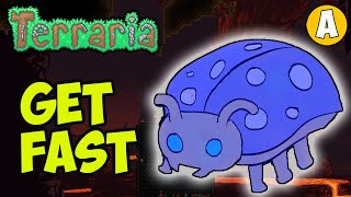 Terraria てんとう虫の入手方法（簡単）（2026）｜Terraria てんとう虫 screenshot 2