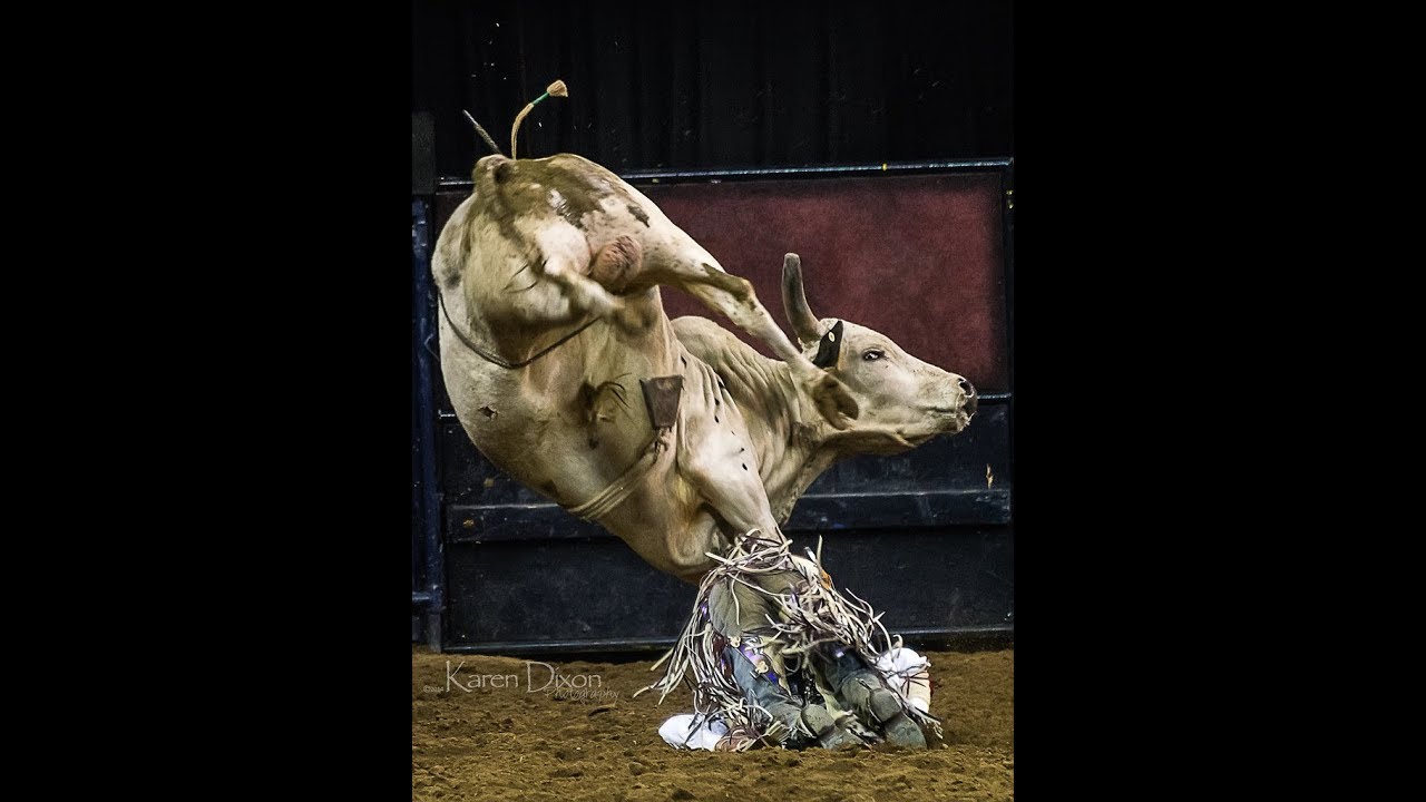 Why You Bullspittin Vol. 24