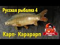 Русская рыбалка 4. Фарм на янтарке.