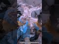 Ultra Fast Chicken Deboning Process : Precision Hand Cutting Skills