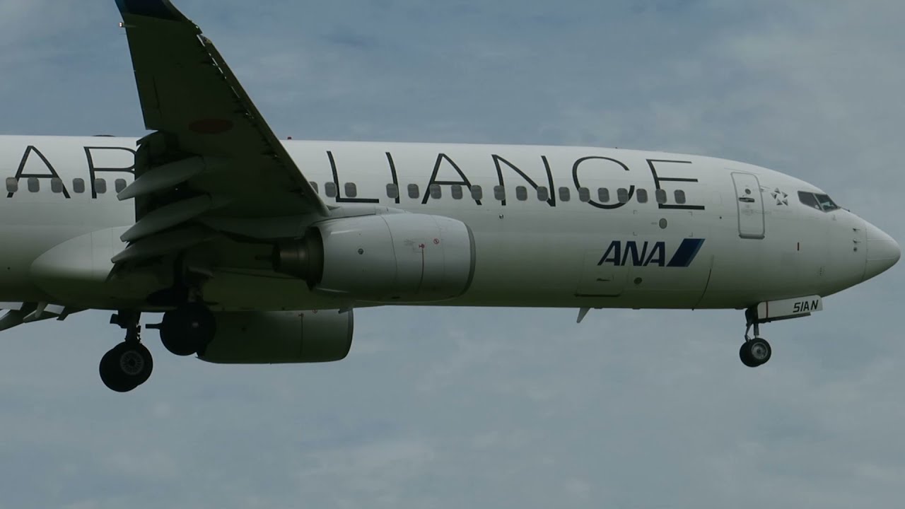 全日本空輸 B737- 800 スターアライアンス 特別塗装機 高知空港にて