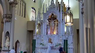 11AM, 7/19/26, St. Mary of the Mount  - 16th Sunday in Ordinary Time.  ASL interpreted.