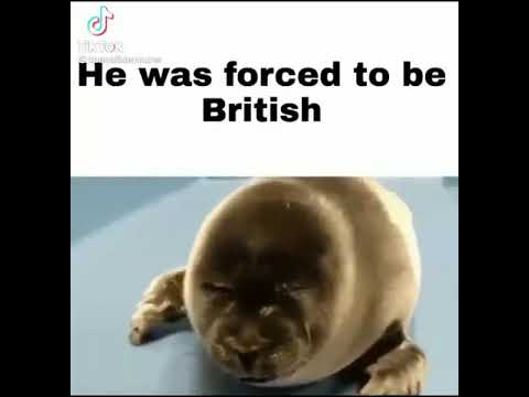 Seal Crying Meme