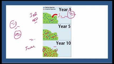 Mission 2020: Lecture 12 Environment, Current Affairs Revision for Prelim 2020 UPSC/CSE/IAS