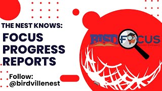 Focus Progress Reports