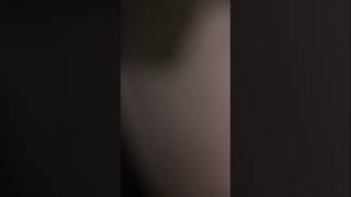 Watch until the end to see two men bark