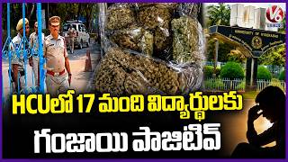 17 Students Tested Ganja Positive In HCU | Hyderabad | V6 News
