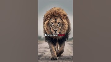 Attitude short😈~ Sigma rule🔥 Responsibility in soul🧐#motivation #shorts #quotes #attitudestatus