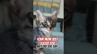 Your Mom Just Texted You