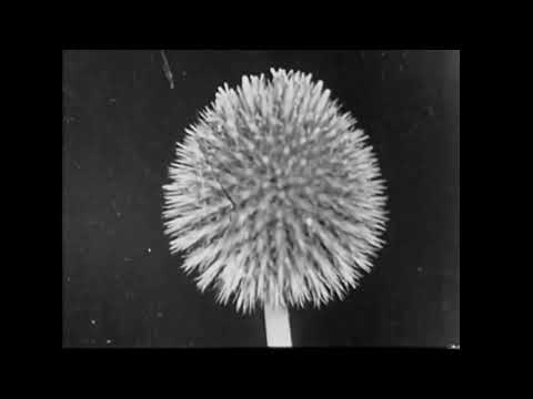 Putar Let the Ice Melt Your Soul - Dirty South