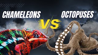 Chameleons vs. Octopuses: Battle of the Masters of Disguise! Who Will Camouflage Best?