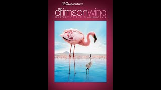 The Crimson Wing Mystery Of The Flamingos 2008 DVD Opening