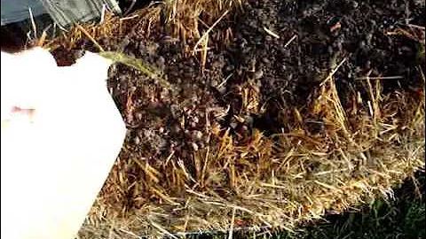 Human Urine for Compost, Start to Finish