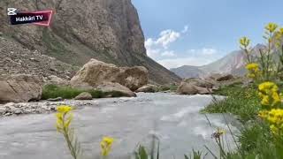 Ez Nema Ezi̇m Şeyda Perinçek